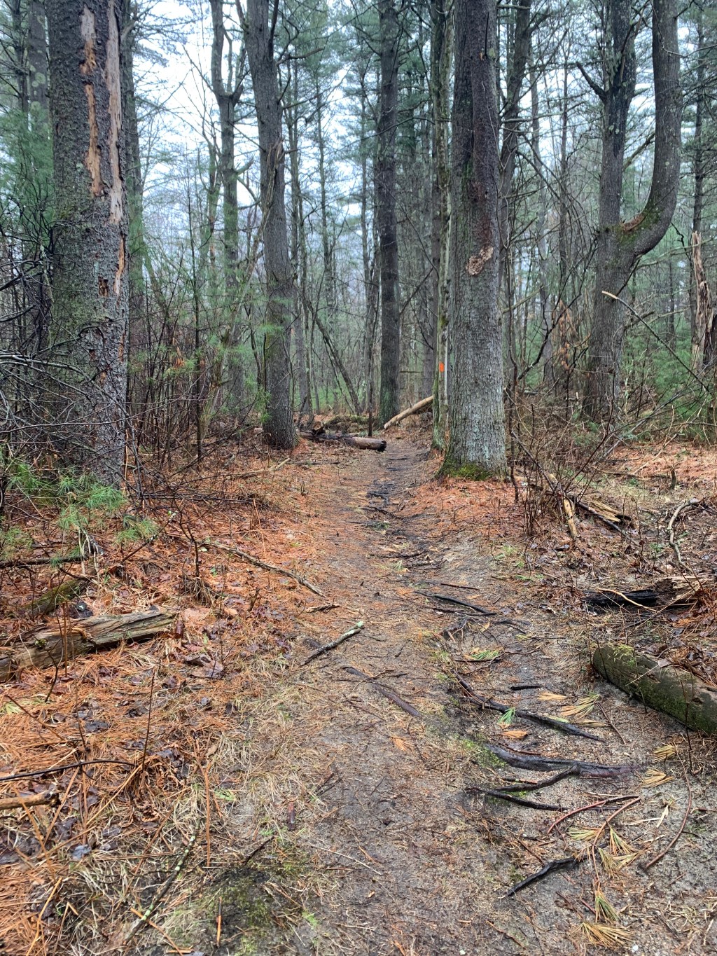 How to feel&nbsp;alive