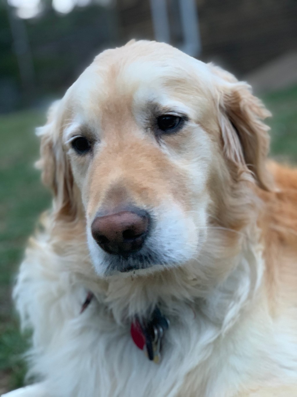 Thursday, December 31,&nbsp;2020