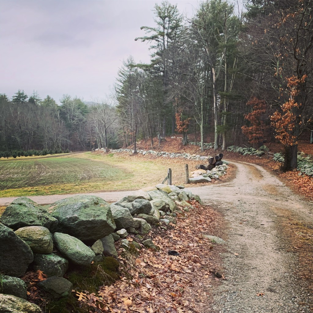 Friday, January 8,&nbsp;2021