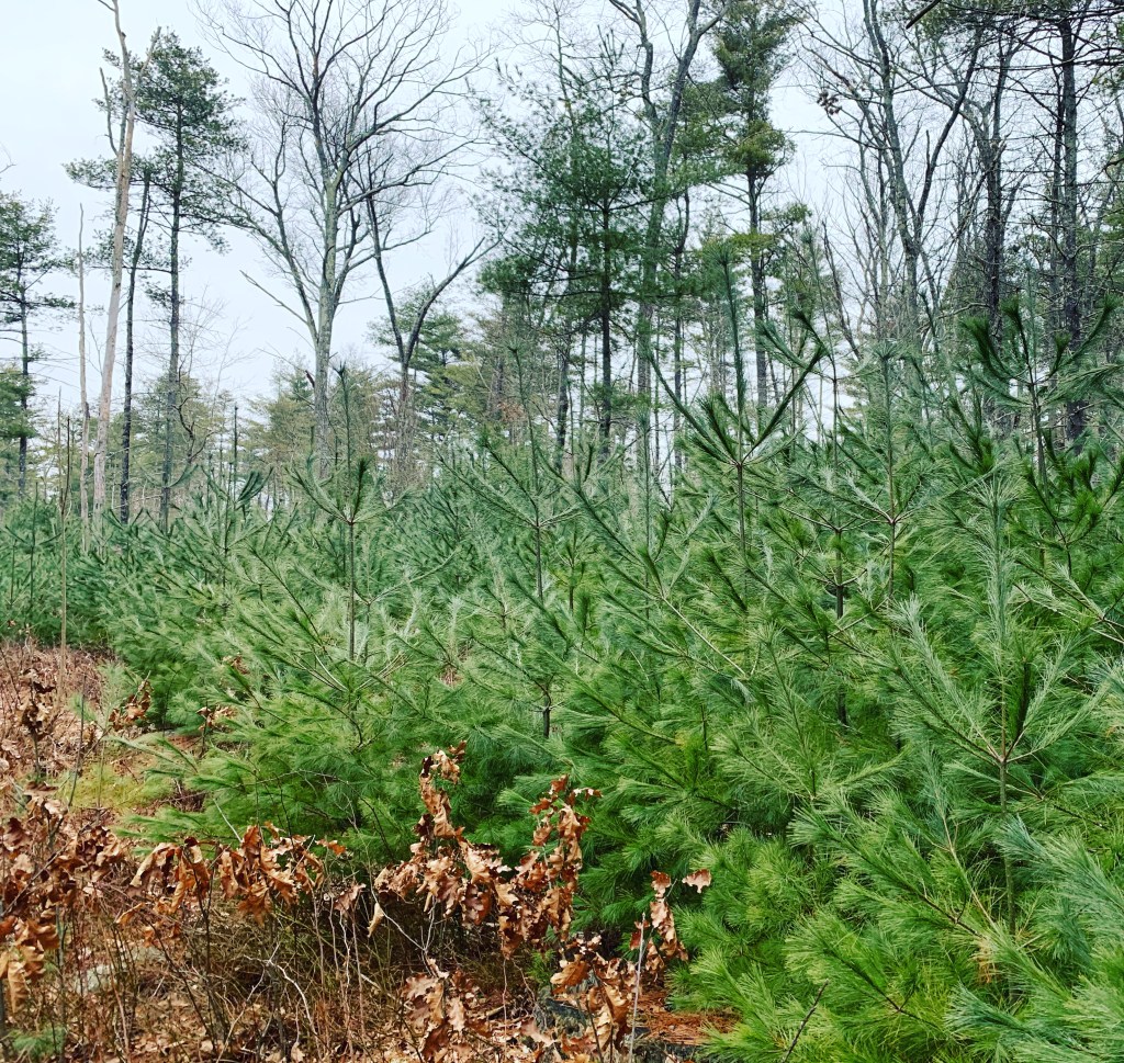 Wednesday, January 13,&nbsp;2021