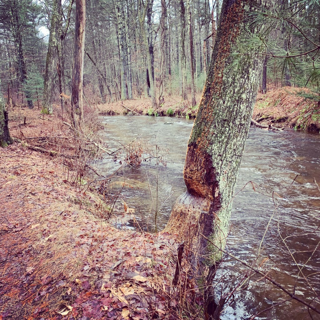 Saturday, January 16,&nbsp;2021