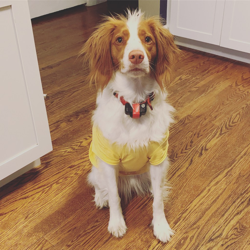 Wednesday, March 10,&nbsp;2021