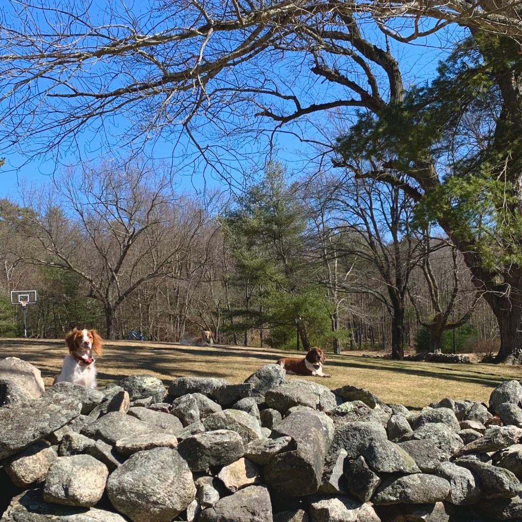 Tuesday, March 23,&nbsp;2021